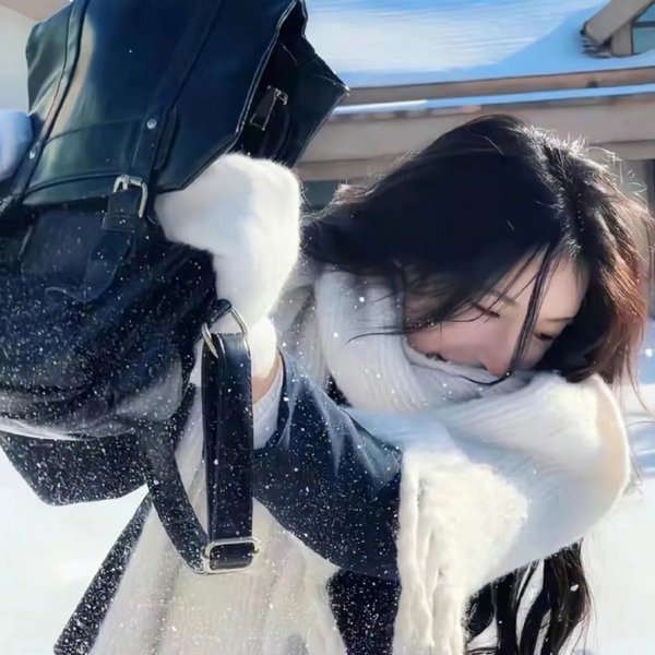 大象之梦