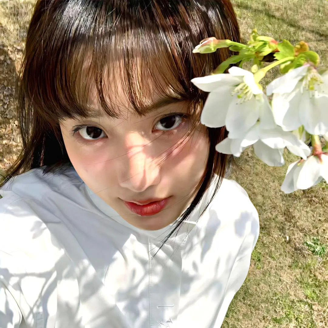 左轮百合